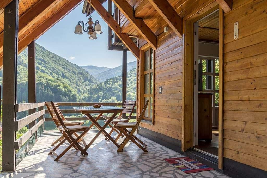 Villa Florile Bucegilor à Sinaia Extérieur photo