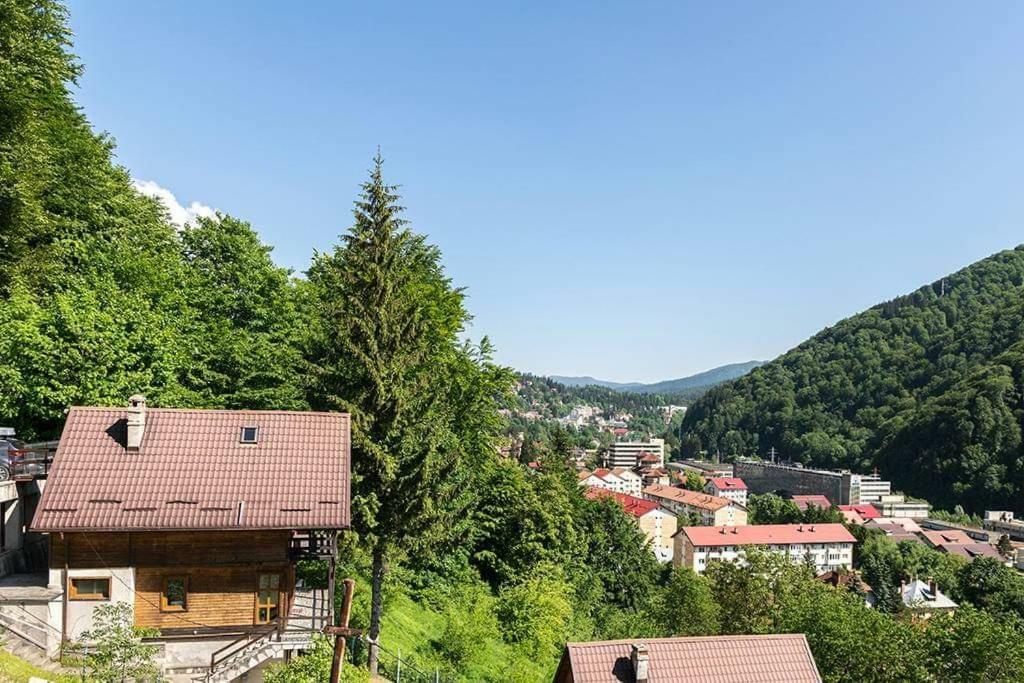 Villa Florile Bucegilor à Sinaia Extérieur photo