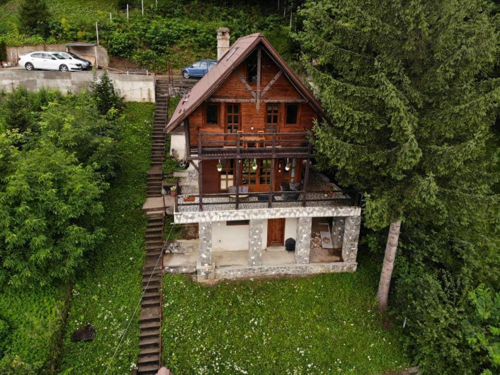 Villa Florile Bucegilor à Sinaia Extérieur photo