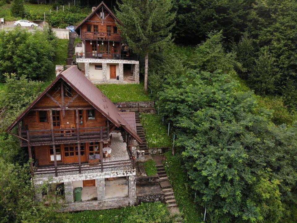 Villa Florile Bucegilor à Sinaia Extérieur photo
